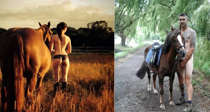 Hästar, Facebook, Rider, naken